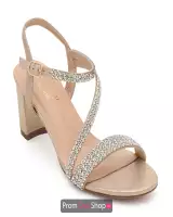 Champagne Shimmer